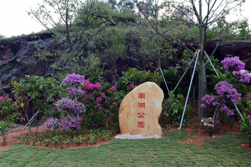 【组图】爆靓照!河源市区又多10个新公园,出门300米见绿愿望成真