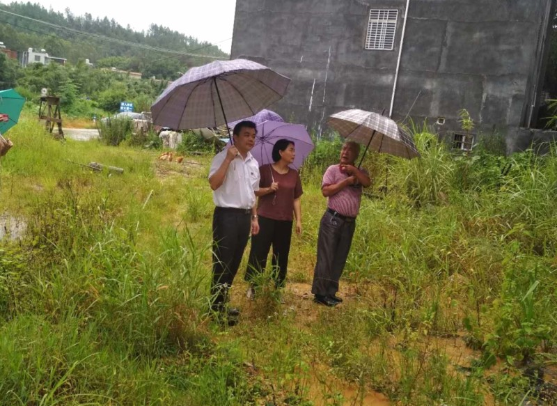 【组图】副县长黎映花到瓦溪镇指导防御强降雨及地