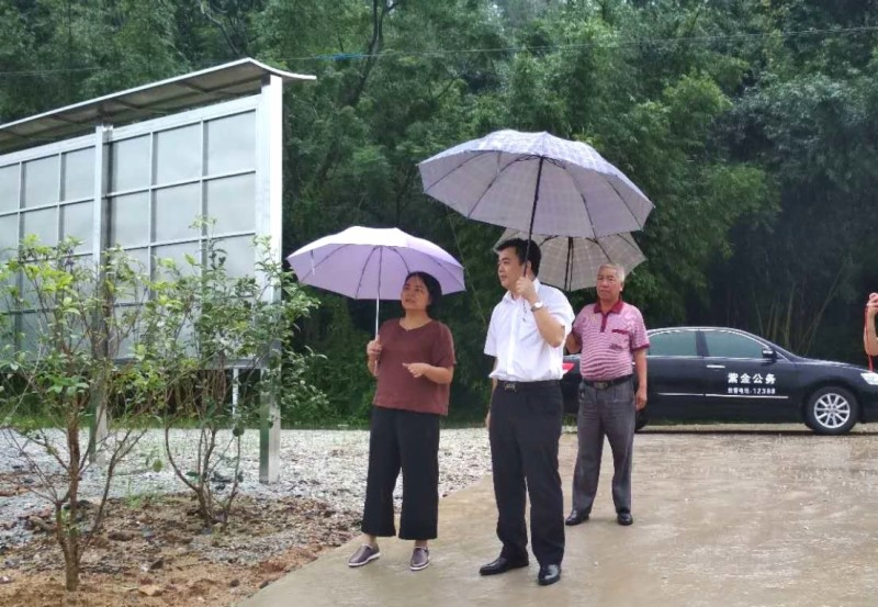 【组图】副县长黎映花到瓦溪镇指导防御强降雨及地