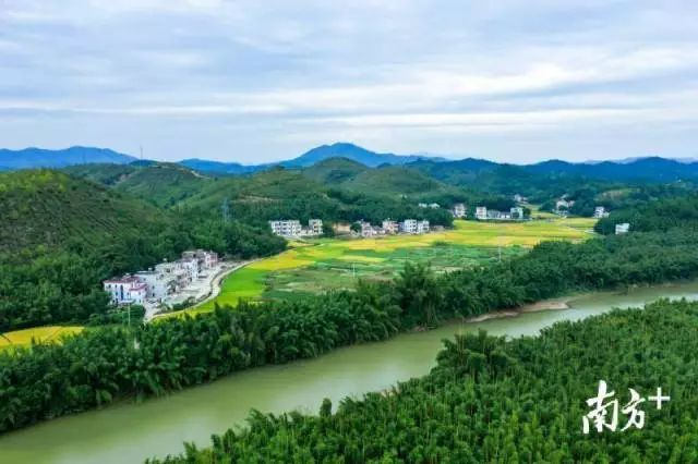 紫金縣鳳安鎮秀美山鄉令人對新農村建設充滿信心