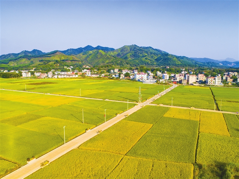 东源县2019年乡村振兴成绩可圈可点亮点纷呈